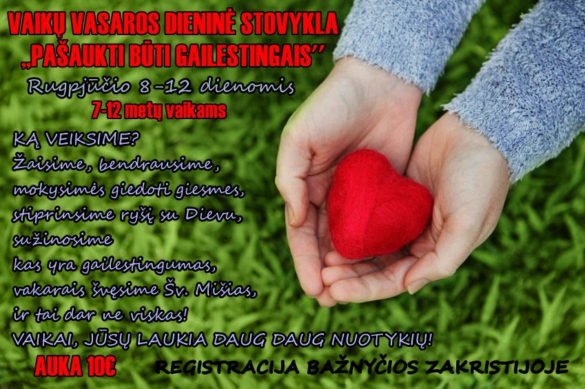 PLAKATAS STOVYKLAI